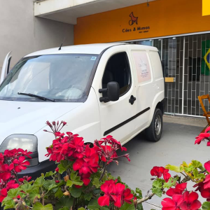 Com equipe especializada, pet shop Cães e Mimos é referência no cuidado com os animais