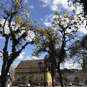 Calor de 30°C e umidade favorecem temporais nos últimos dias de inverno