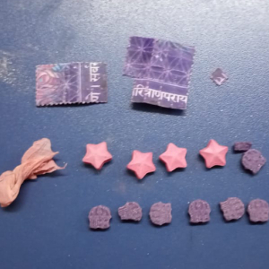 PM flagra festa “rave” com mais de 50 pessoas no interior de Mafra