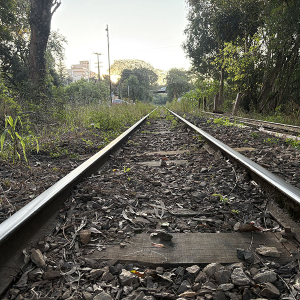 Leilão da ferrovia entre Mafra e São Francisco do Sul é adiado; veja nova data