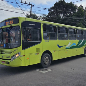 Transporte público será gratuito neste sábado em Rio Negro e Mafra