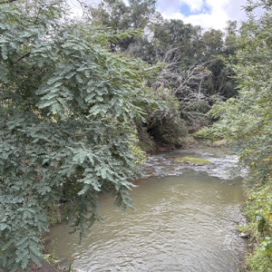 População se reúne em ação de limpeza do rio da Lança neste sábado