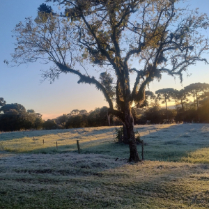 Onda de frio faz temperaturas despencarem e traz chance de geada durante a semana