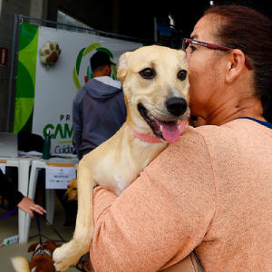 Atendimento veterinário gratuito em Rio Negro segue com vagas disponíveis