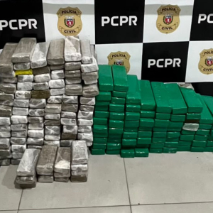 Investigação da Polícia Civil de Rio Negro leva à apreensão de 140 quilos de maconha