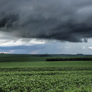 Paraná reforça ações para reduzir impactos do El Niño no setor agropecuário