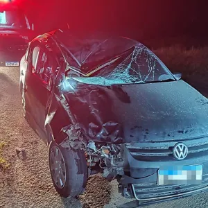 Jovem quebra dentes em colisão de carro com cavalo na BR-280