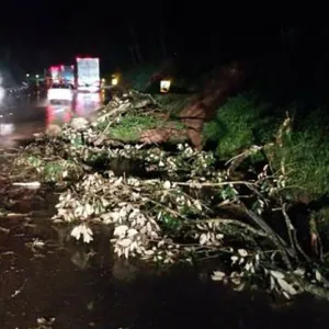 BR-116 é totalmente interditada após queda de barreira em Rio Negro