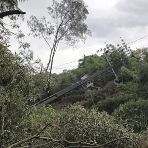 Celesc tem cerca de 170 ocorrências abertas na região depois do temporal