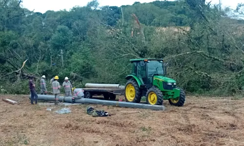 Celesc enfrenta áreas de difícil acesso para reconstruir rede após temporal em Mafra 