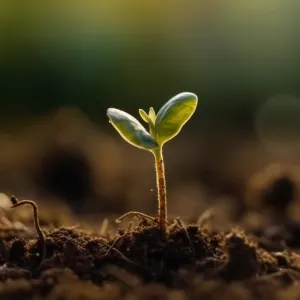 Versículo do dia: Como Deus trabalha em nossa vida?