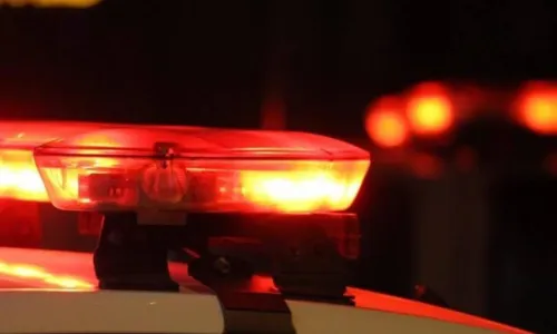 Cães fogem de casa, atacam pessoas na rua e situação vira caso de polícia