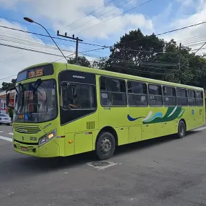 Eleições 2026: transporte público será gratuito neste domingo em Riomafra 