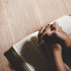  Versículo do dia: Deus te ouvirá quando você o invocar