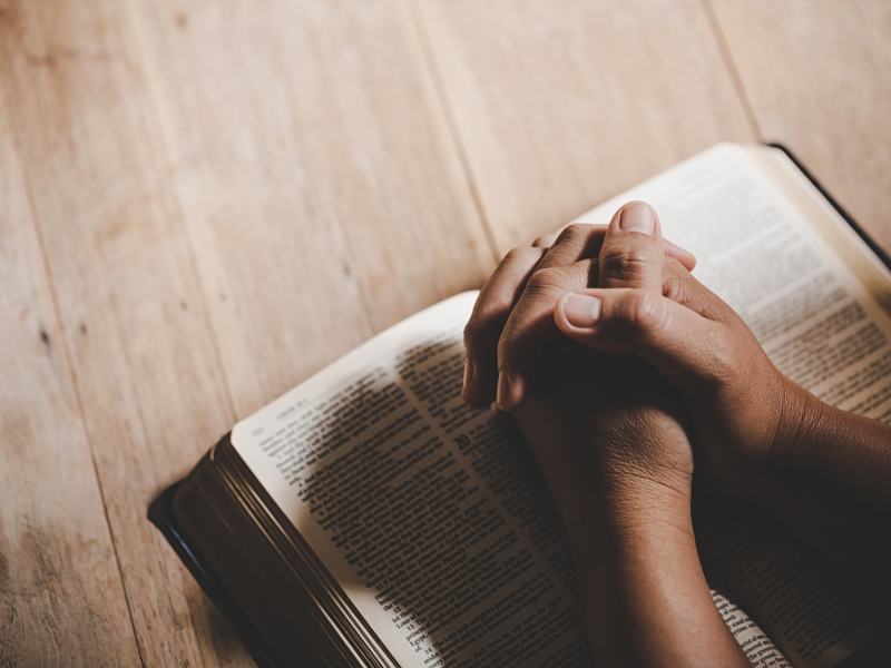  Versículo do dia: Deus te ouvirá quando você o invocar