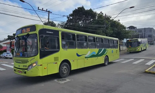 Rio Negro e Mafra terão ônibus gratuitos e horários especiais neste domingo; veja