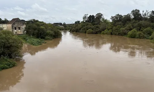 Nível do rio Negro começa a baixar depois de chegar perto dos 7 metros