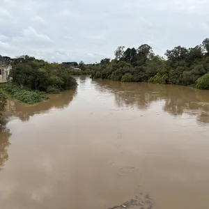 Nível do rio Negro começa a baixar depois de chegar perto dos 7 metros