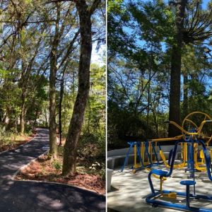 Rio Negro inaugura Parque Ambiental na próxima segunda-feira