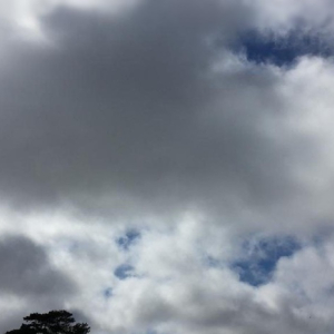 Semana inicia com chuva e céu encoberto na região