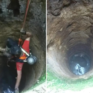 Cavalo cai em poço e é resgatado por bombeiros em Itaiópolis