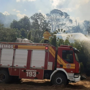 Plantação de soja e área de mata nativa são atingidas por incêndio em Avencal de Cima