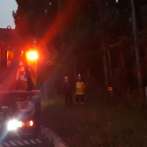Reflorestamento de eucalipto é atingido por incêndio nesta madrugada em Mafra