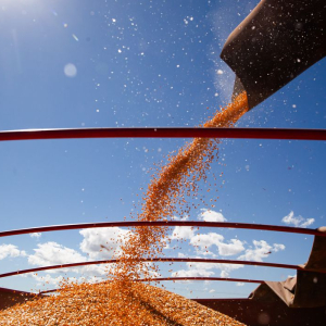 CNA prevê aumento da produção do agronegócio no próximo ano