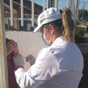 Saúde já aplicou mais de 9 mil doses de vacina contra a gripe em Mafra