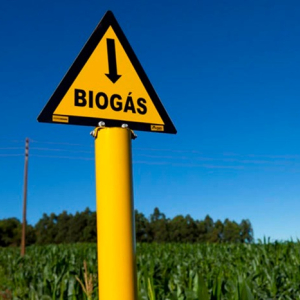 Investimentos na cadeia de biogás podem alavancar o desenvolvimento sustentável de SC