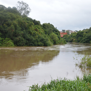 Nível do rio Negro começa a baixar, mas Riomafra segue em alerta