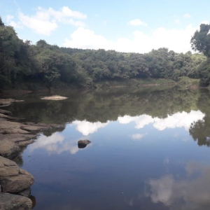 Por conta da estiagem, Rio Negro decreta situação de emergência