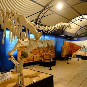 UnC promove visita virtual ao Museu da Terra e da Vida nesta segunda-feira