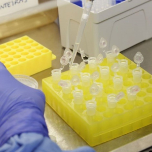 Oeste catarinense é o novo foco da pandemia