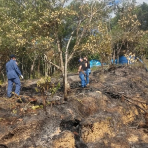 Incêndios em vegetação crescem mais de 400% aponta Corpo de Bombeiros