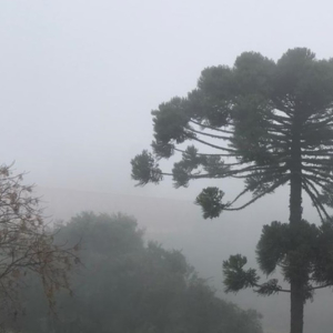 Inverno será de tempo seco e frio em Santa Catarina e no Paraná