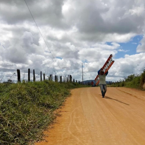 Projeto dá isenção no uso de postes para levar internet à área rural