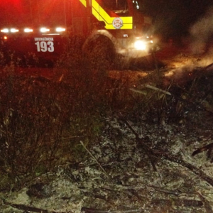 Incêndio atinge área de reflorestamento de pinus em Mafra