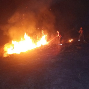 Incêndio atinge área de vegetação dentro do aeroporto de Mafra