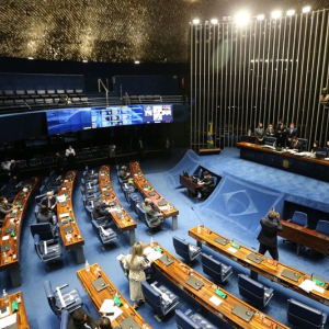 Senado aprova proibição de armas para agressores de mulheres