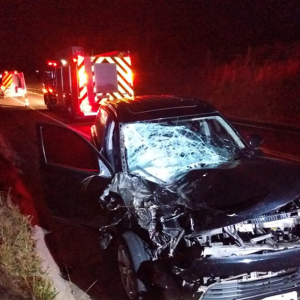 Família com recém-nascido sai ilesa após carro atropelar boi em Itaiópolis