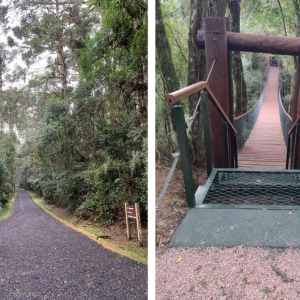 Parque do “Seminário”: um local para bem-estar físico e psicológico