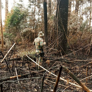 Queimada irregular é flagrada em fazenda no interior de Mafra