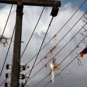 Celesc registra aumento das ocorrências causadas por pipas enroladas nas redes elétricas