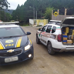 Ação entre PRF e Polícia Militar apreende 338 kg de maconha em Rio Negrinho
