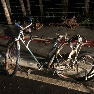 Ciclista idoso morre ao ser atropelado e motorista foge sem prestar socorro, em Mafra