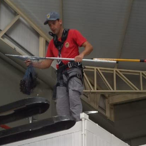 Inusitado: “Jacu” é resgatado pelos Bombeiros Voluntários em Itaiópolis