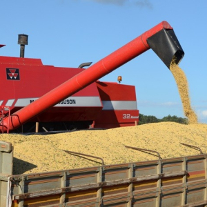 Agronegócio responde por 72% das exportações catarinenses no primeiro semestre de 2020