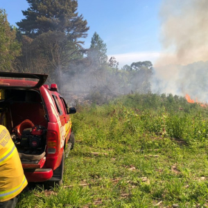 Focos de incêndio atingem área de vegetação no interior de Mafra