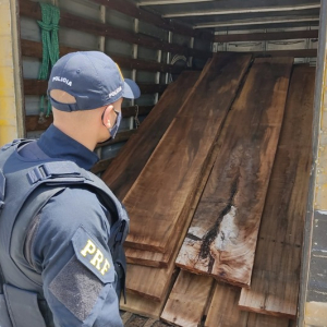 Carga ilegal de madeira nativa é apreendida pela PRF em Mafra